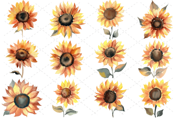 12 Watercolor Sunflower Floral Bundle