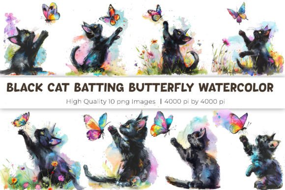Black Cat Batting Butterfly Watercolor Display Font Review