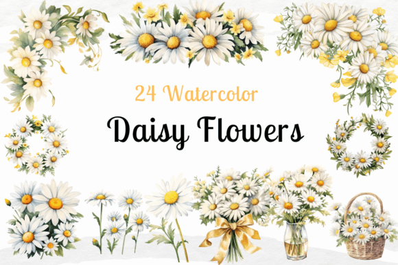 Daisy Flowers Watercolor Clipart for Design