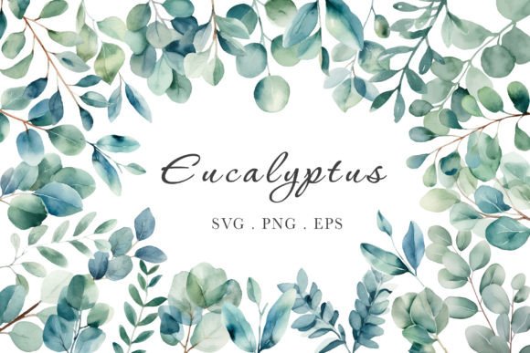 Eucalyptus Watercolor Bundle: A Creative Toolkit