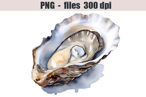 Oyster Watercolor Clipart for Designers
