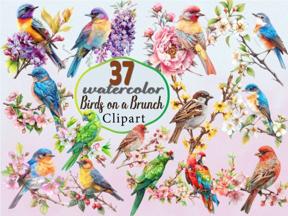 Watercolor Birds on a Brunch Clipart PNG