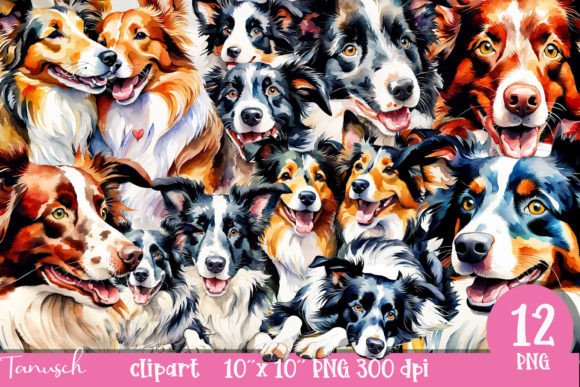 Watercolor Border Collie Clipart PNG