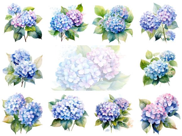 Watercolor Hydrangeas Clipart: A Designer’s Guide