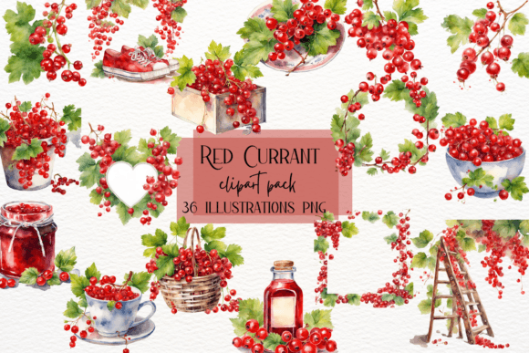 Watercolor Red Currant Fruits Clipart: A Designer's Guide