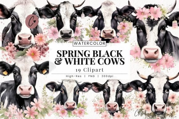 Watercolor Spring Black White Cows PNG: A Fresh Design Asset for Seasonal Projects