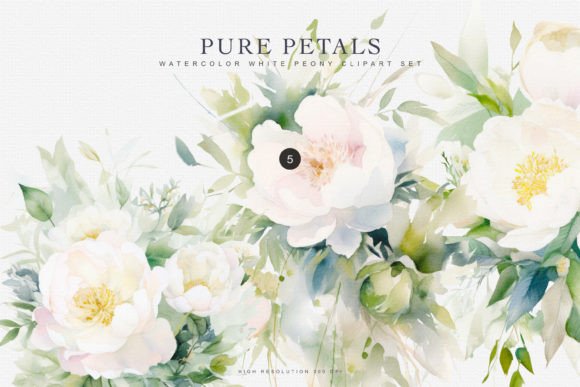 Watercolor White Peony Bouquet Clipart