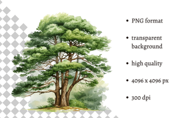 Watercolor Woodland Tree PNG Clipart for Creative Projects